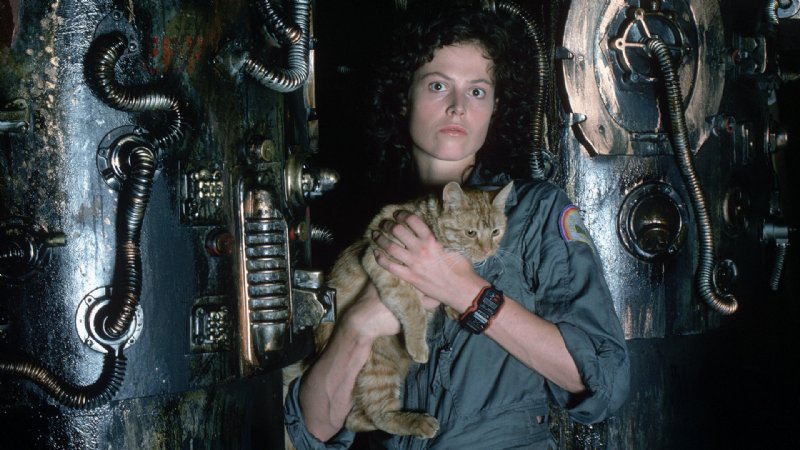 Alien: A Sci-Fi Horror Masterpiece and 10 Similar Movies You'll Love